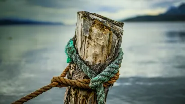 Lähikuva puisesta paalusta, jonka ympärillä on kaksi köyttä; ruskea ja vihertävä.