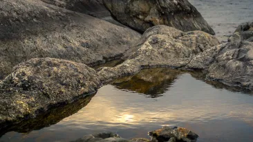 Aurinko heijastuu rantavedestä kivikkoisen kallion edustalla.
